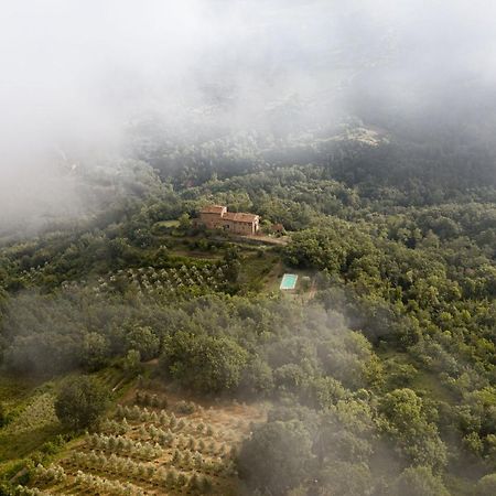 Agriturismo Villa Toscanna Borselli Exterior photo