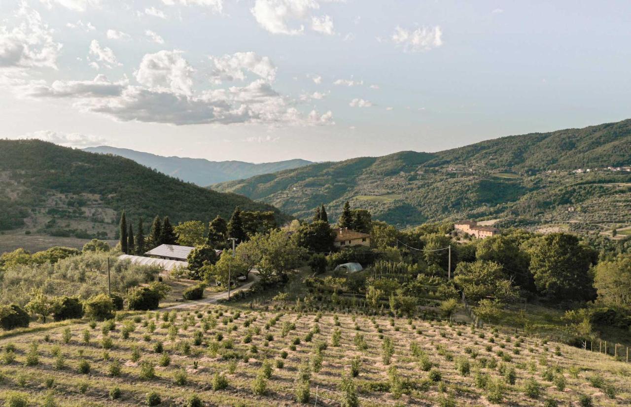 Agriturismo Villa Toscanna Borselli Exterior photo