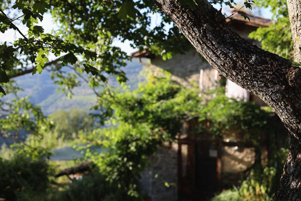 Agriturismo Villa Toscanna Borselli Exterior photo